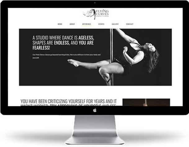 unet-design's-web-project-for-flying-curves