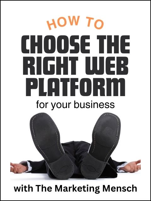 banner-ad-for-The-Marketing-Mensch-How-to-Choose-The-Right-Web-Plaform-for-Your-Business